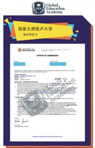 Yellow Dessert Product Flyer